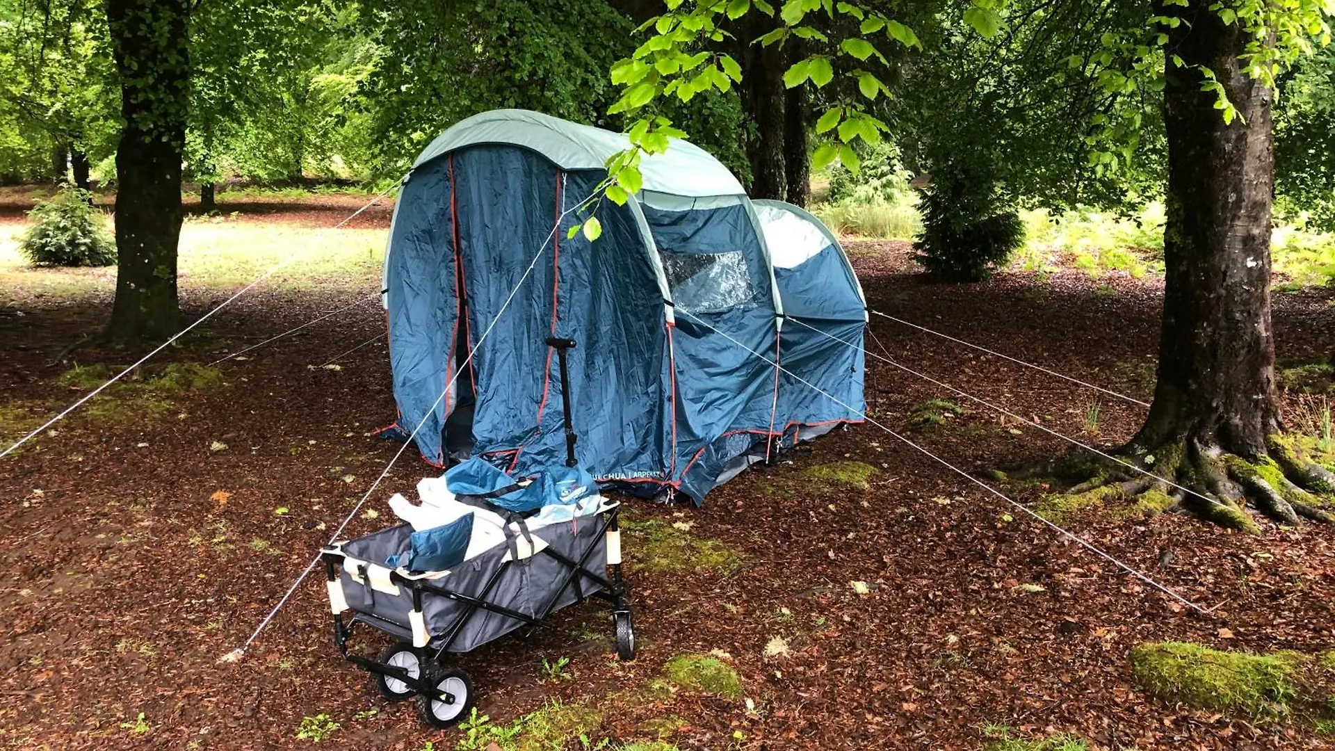 Lyxtält Tenda Photok Camping Movel - Com Recepcao Machico
